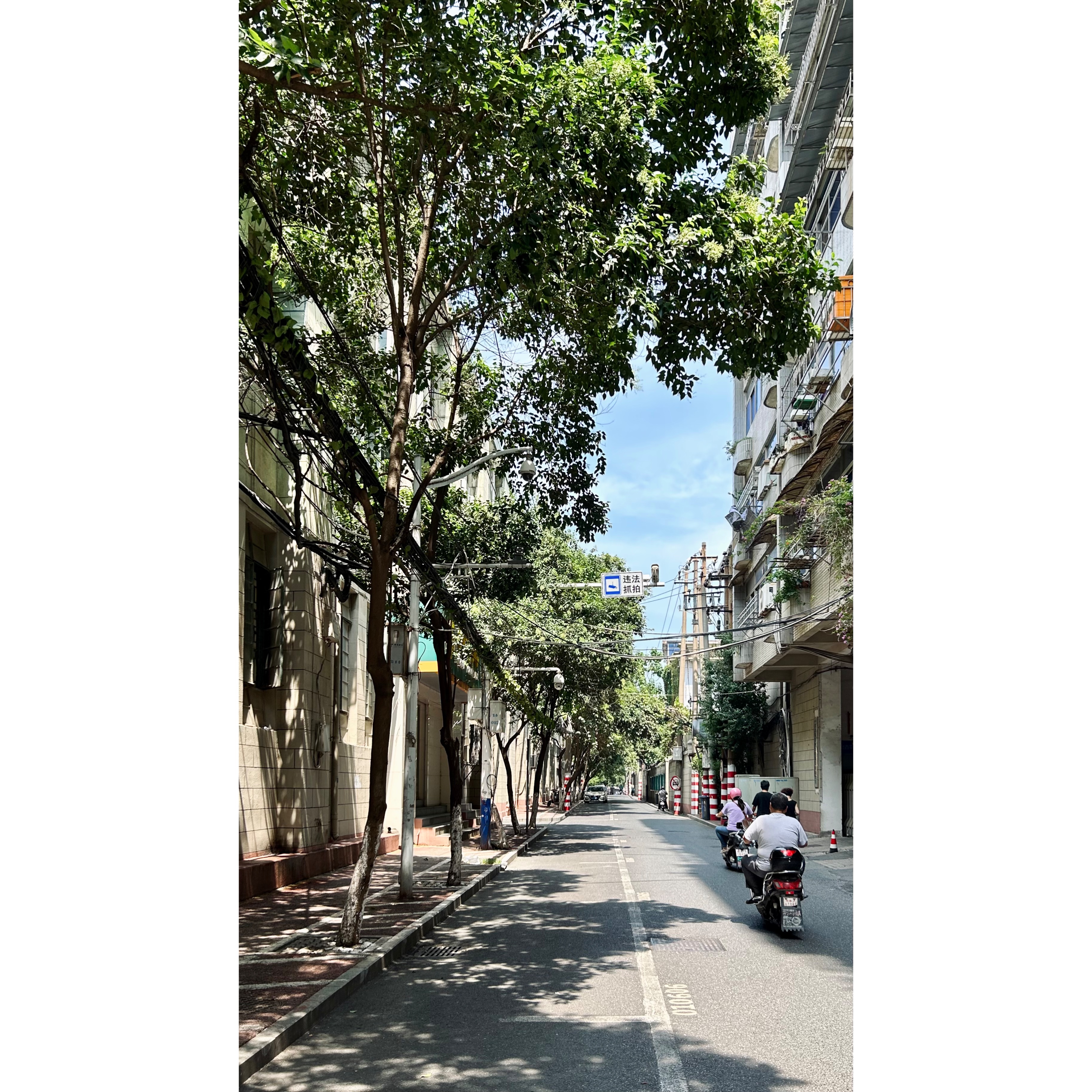 邮政路